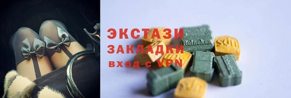 индика Грязовец